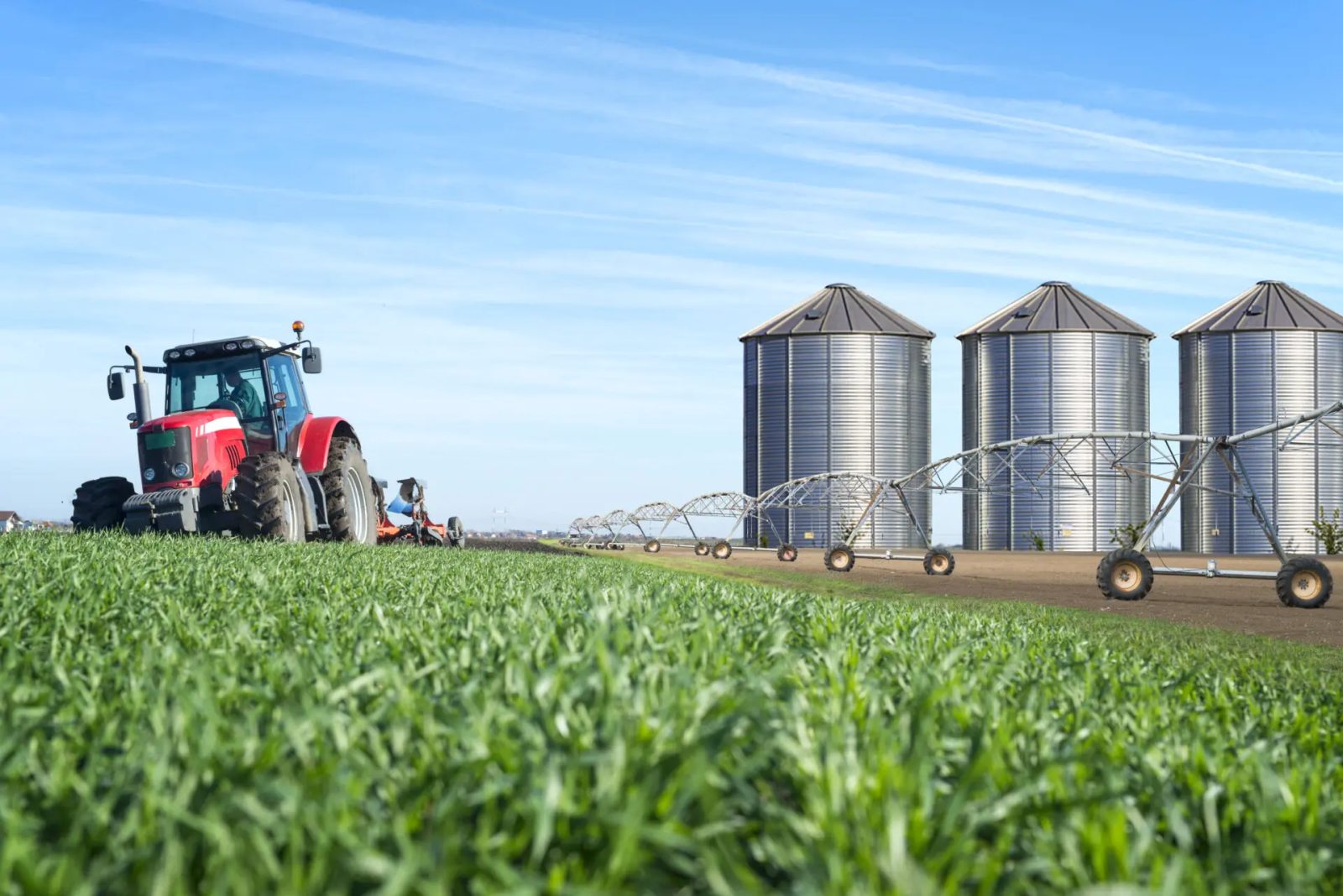 Produção: Conheça mais sobre a rica história do agronegrócio brasileiro