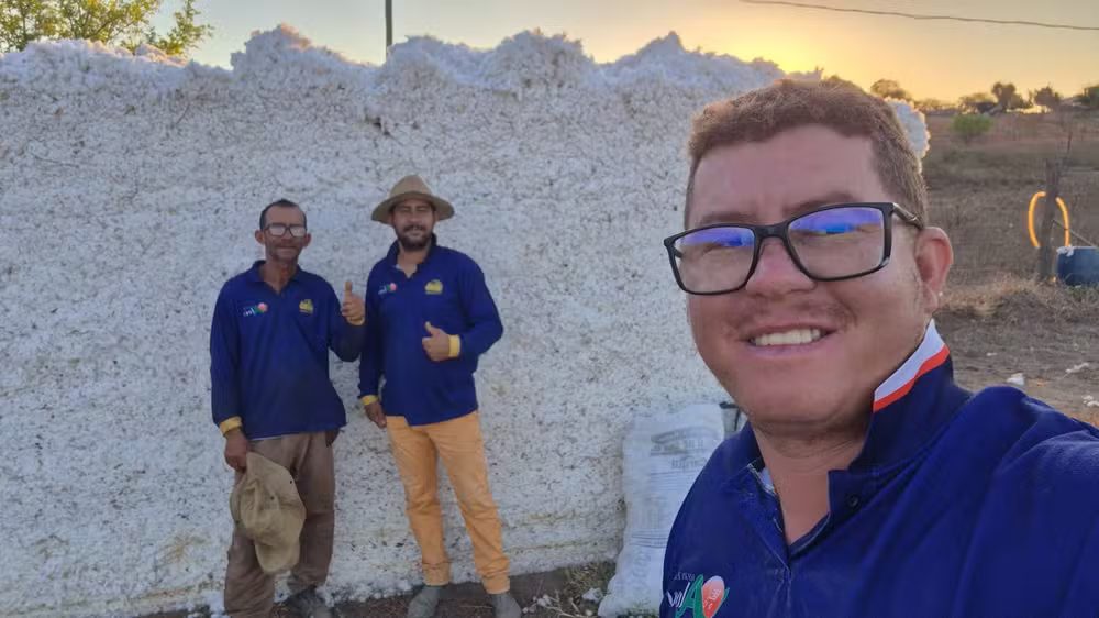 Região Norte de Minas Gerais vem crescendo na produção de algodão