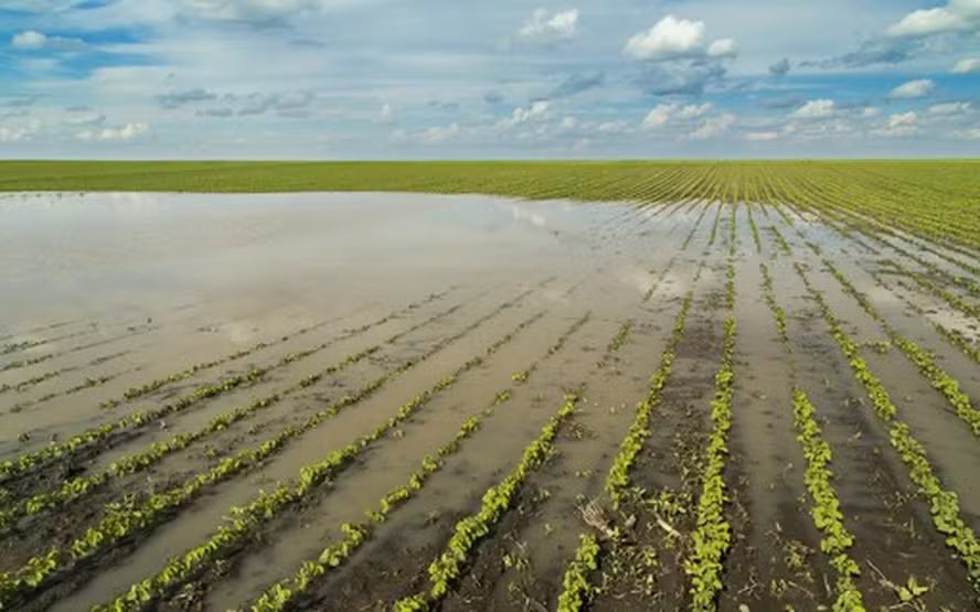 Chegada de El Niño exige revisão profunda na estratégia do Agronegócio