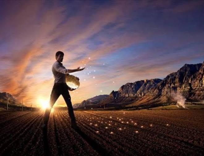 A importância de Cursos Técnicos para profissionais qualificados no Agro
