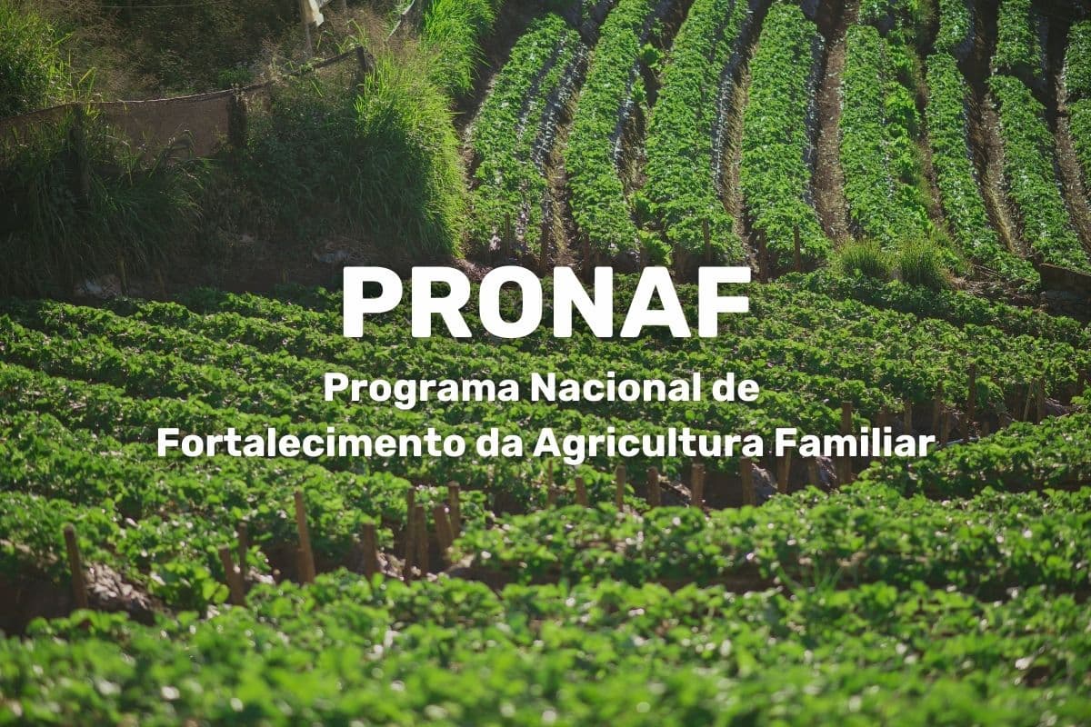A agricultura familiar no Brasil tem papel central na segurança alimentar do país