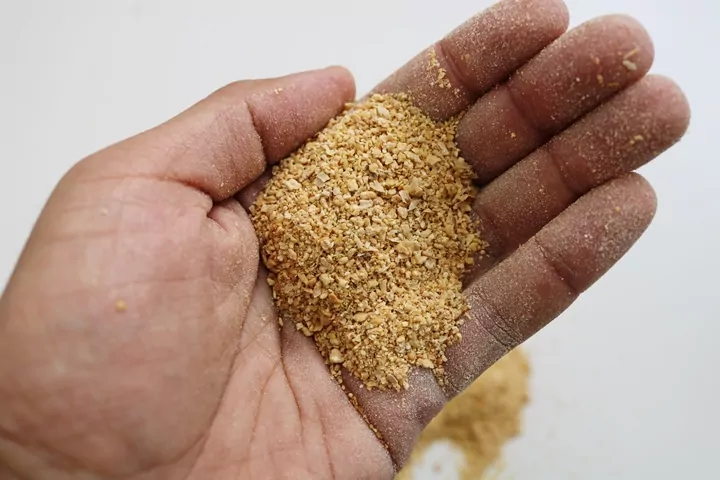 Soja: Uma das oleaginosas mais ricas e amplamente disponível no Planeta